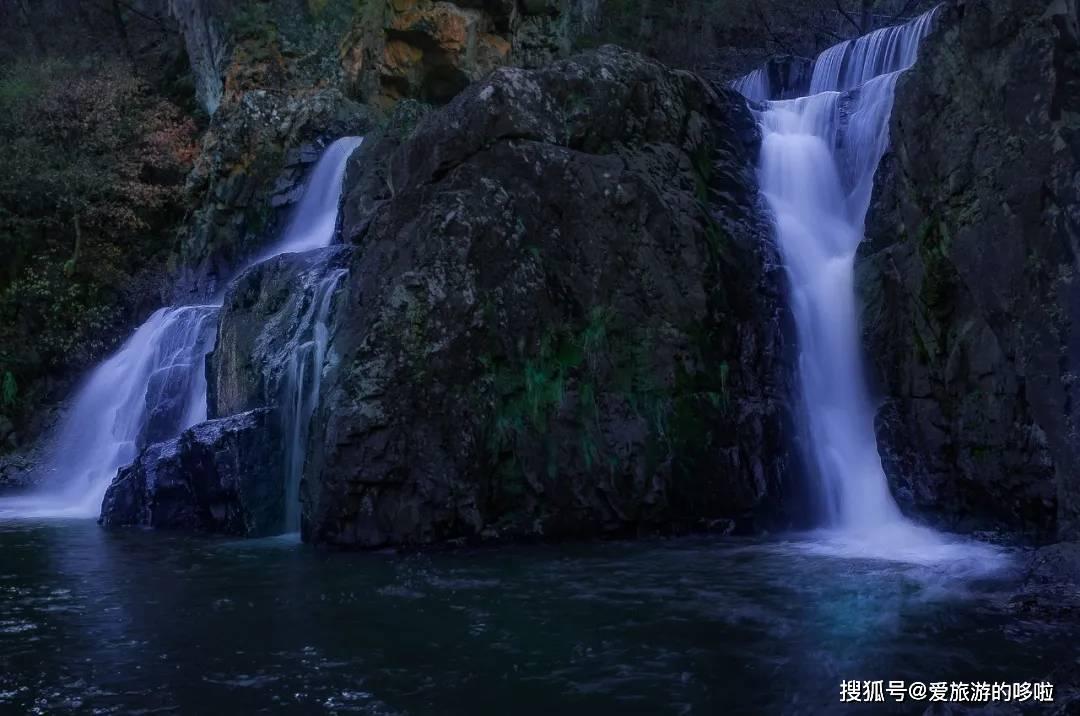 谈男朋友还是养狗?-专业问答交流平台