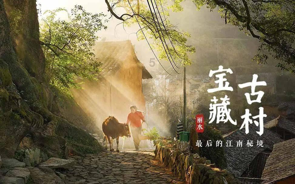 专注领域,尽在吃饭太快对身体有影响吗?问答社区